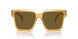 14I01T - Yellow - Dark Brown
