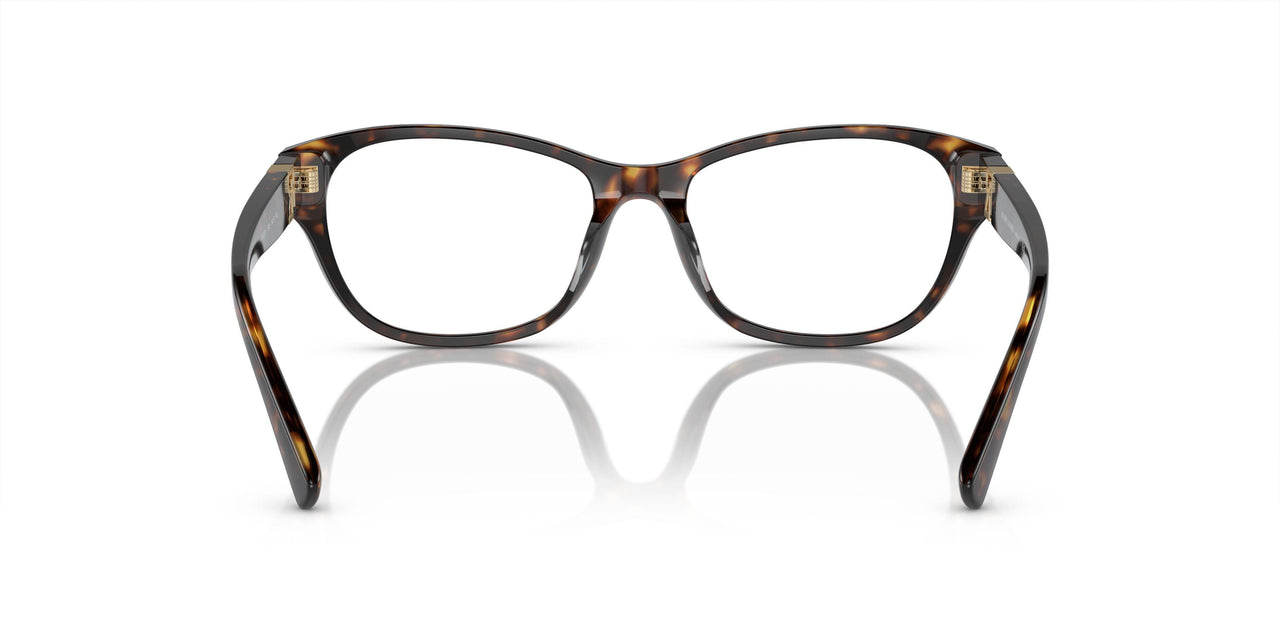 5003 - Tortoise