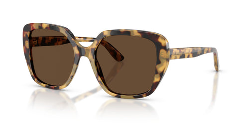 Dolce & Gabbana 4569 Sunglasses