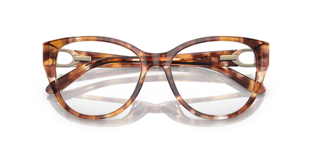6093 - Tortoise
