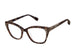 Ted Baker TLW013 Eyeglasses