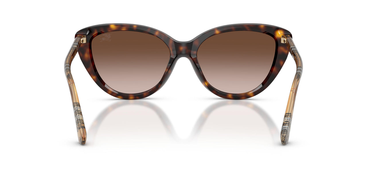 421613 - Brown - Brown Gradient