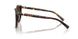 80153B - Tortoise - Brown Gradient