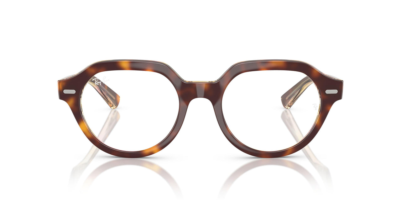 8402 - Tortoise - Clear