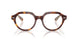 8402 - Tortoise - Clear