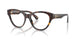 3002 - Brown