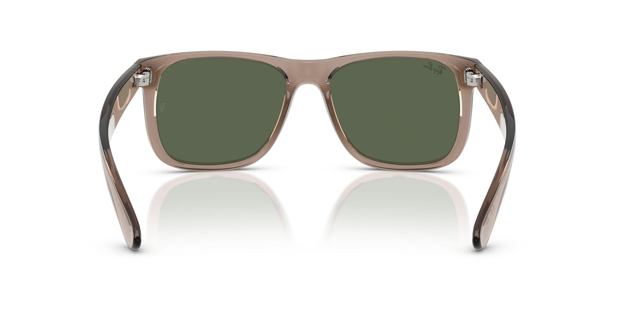 691871 - Brown - Dark Green