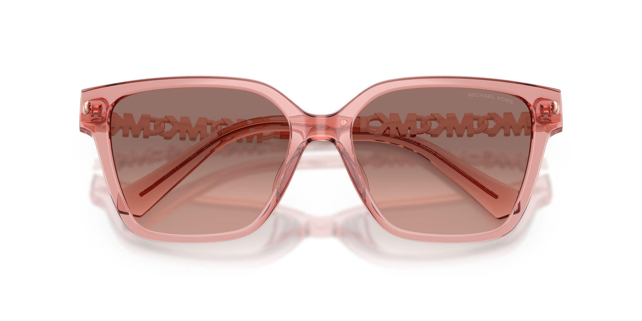 310113 - Pink - Pink Gradient Dark Brown
