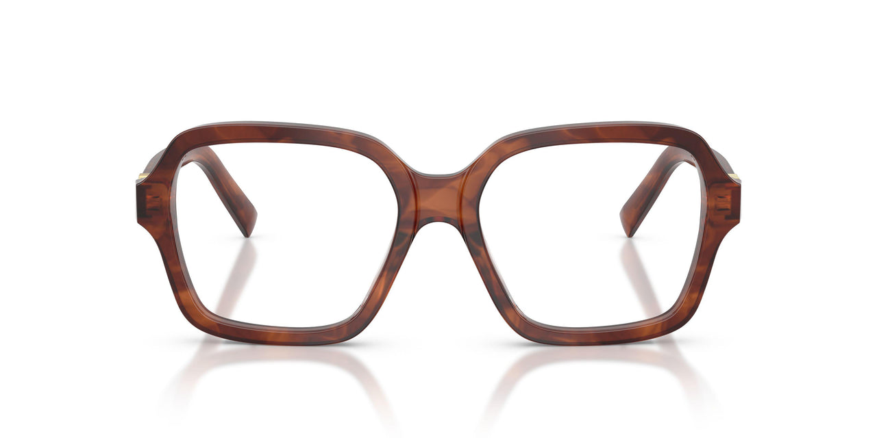 26E1O1 - Brown