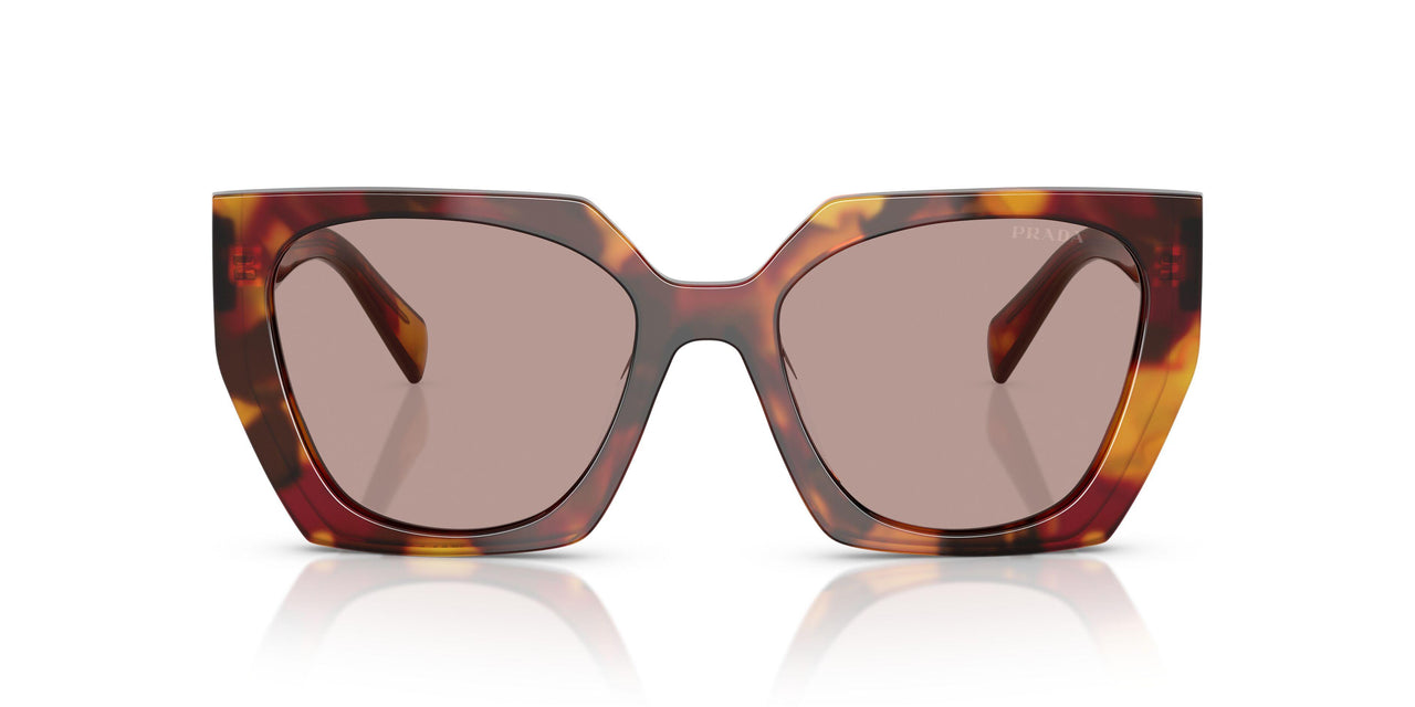22A20I - Tortoise - Light Purple Brown