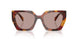 22A20I - Tortoise - Light Purple Brown