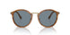 960/56 - Tortoise - Light Blue