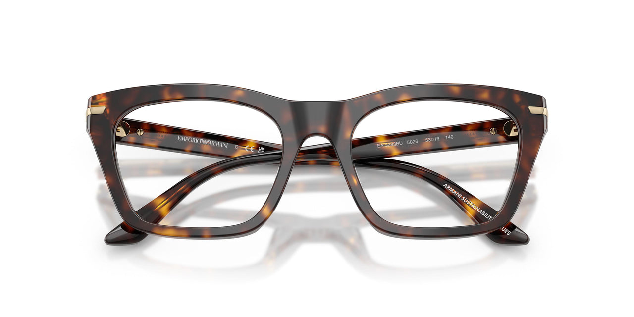 5026 - Tortoise