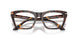 5026 - Tortoise