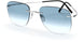 7405 - Silver-Black Neptun - special glazing - Tinted - blue 25-0%