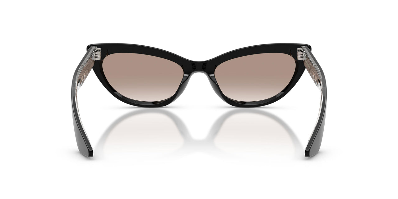 149213 - Black - Soft Tan Gradient
