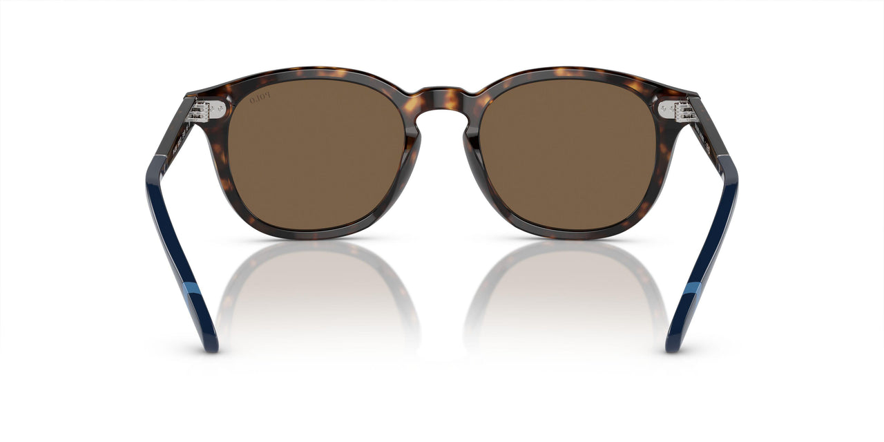 500373 - Brown - Brown