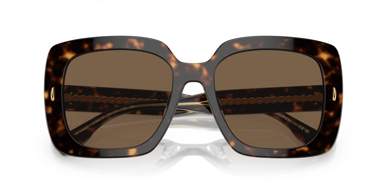 172873 - Tortoise - Dark Brown