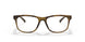 817502 - Brown - Clear