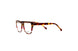 Divaldi DVO8219 Eyeglasses