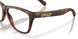 813706 - Brown
