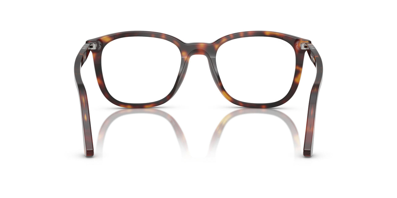 24/GG - Tortoise - Transitions 8 Sapphire