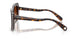 109474 - Tortoise - Gradient Brown