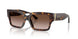 500213 - Tortoise - Brown Gradient