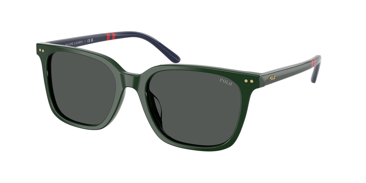Polo 4235U Sunglasses