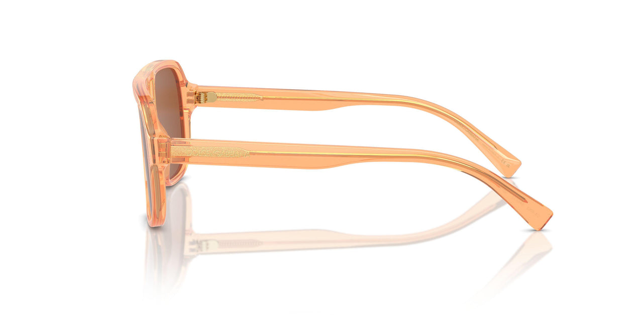 344273 - Orange - Dark Brown