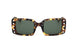 C2 - TORTOISESHELL
