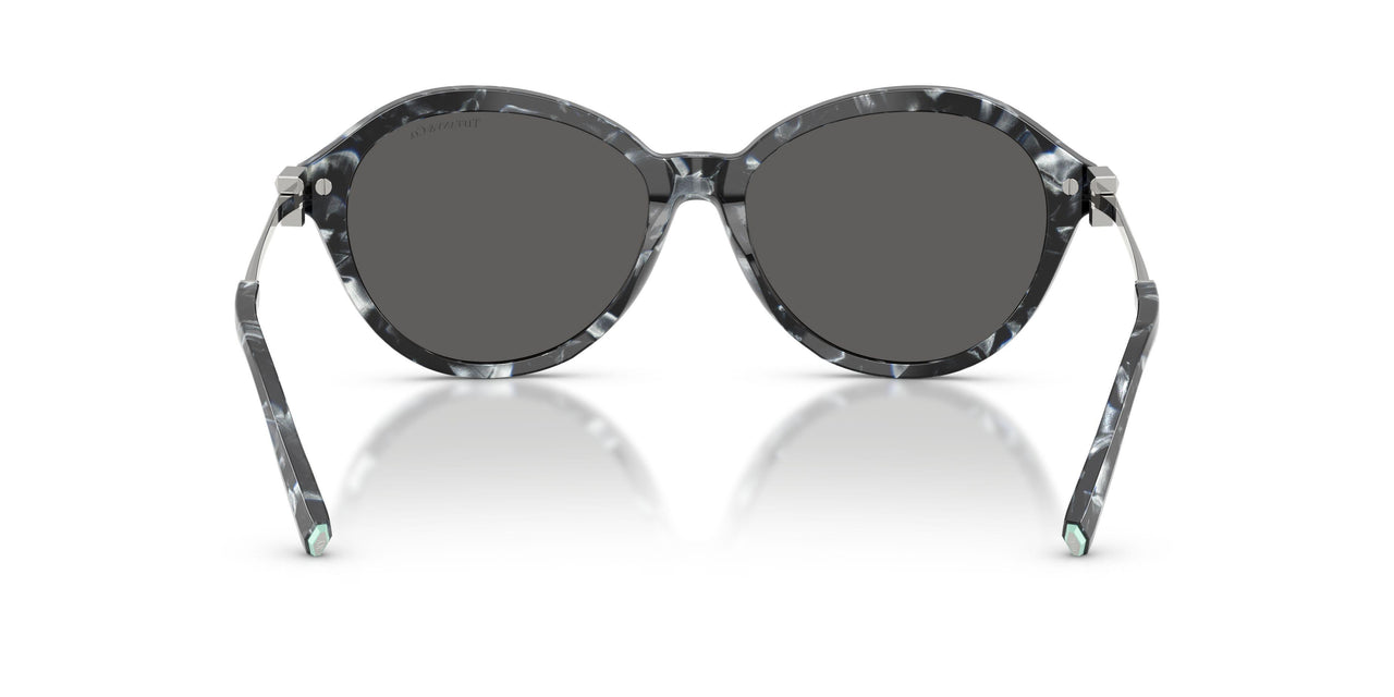 8428S4 - Tortoise - Dark Grey
