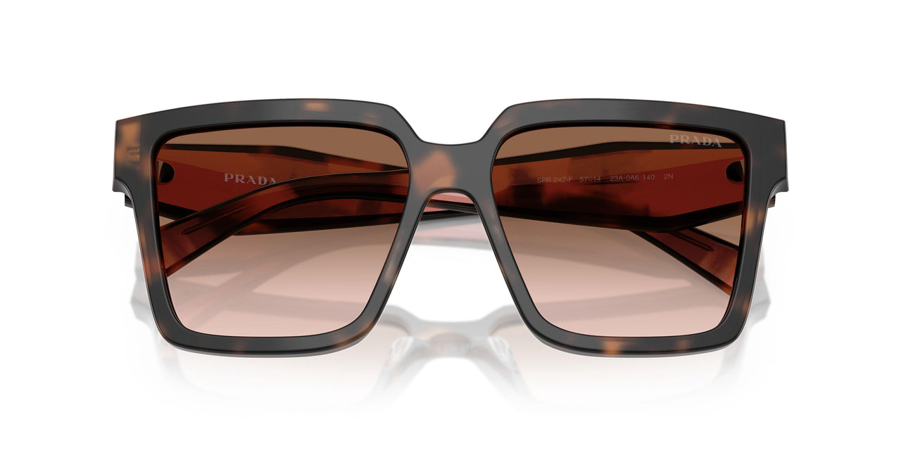 23A0A6 - Tortoise - Brown Gradient
