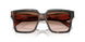 23A0A6 - Tortoise - Brown Gradient