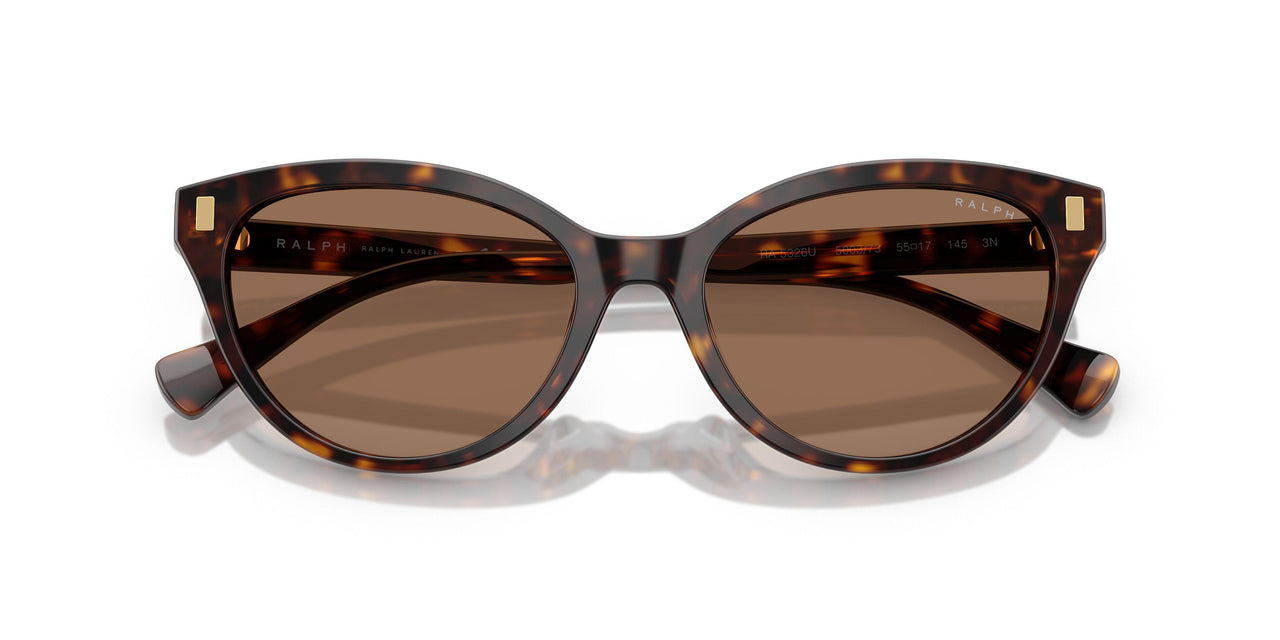 500373 - Tortoise - Brown