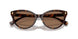 500373 - Tortoise - Brown