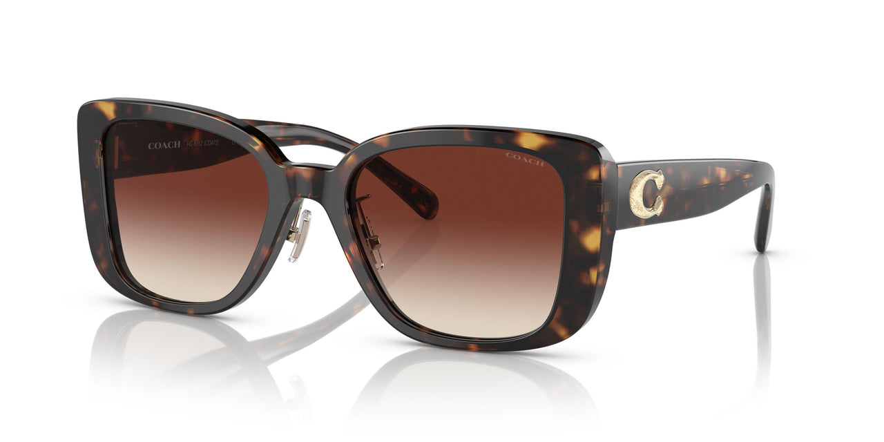 512013 - Havana - Dark Brown Gradient