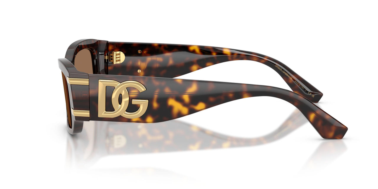 502/73 - Tortoise - Dark Brown