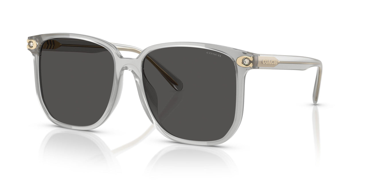 561487 - Transparent - Grey Solid