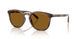 500383 - Tortoise - Dark Polar Brown