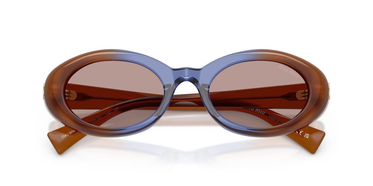 22R20I - Brown - Light Purple Brown