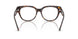 5002 - Tortoise