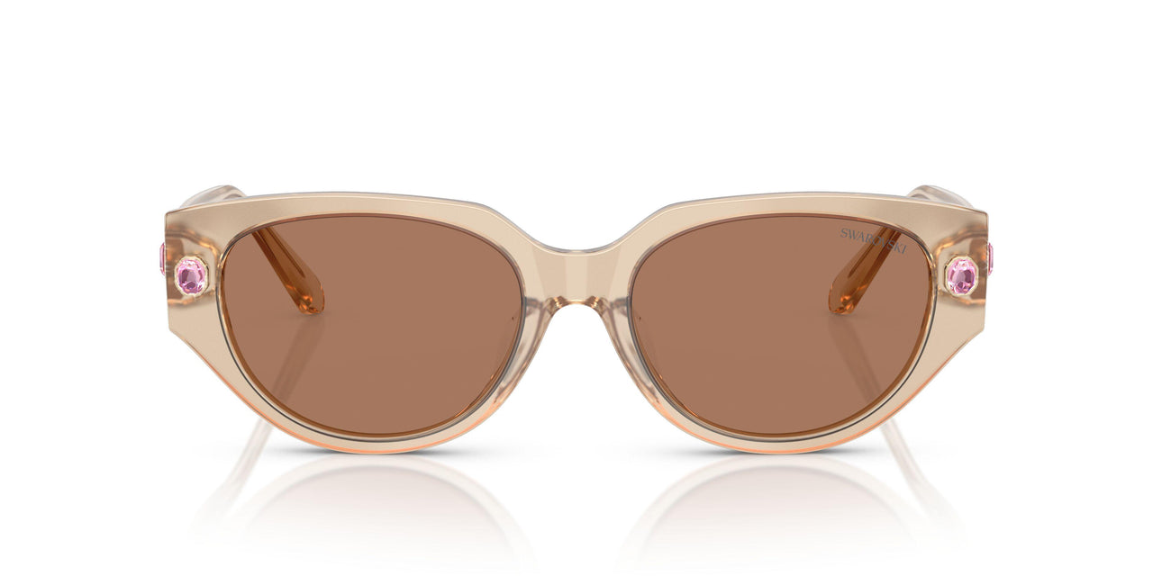 106673 - Beige - Brown