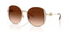 900574 - Gold - Brown Gradient