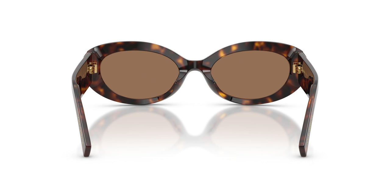 502/73 - Tortoise - Dark Brown