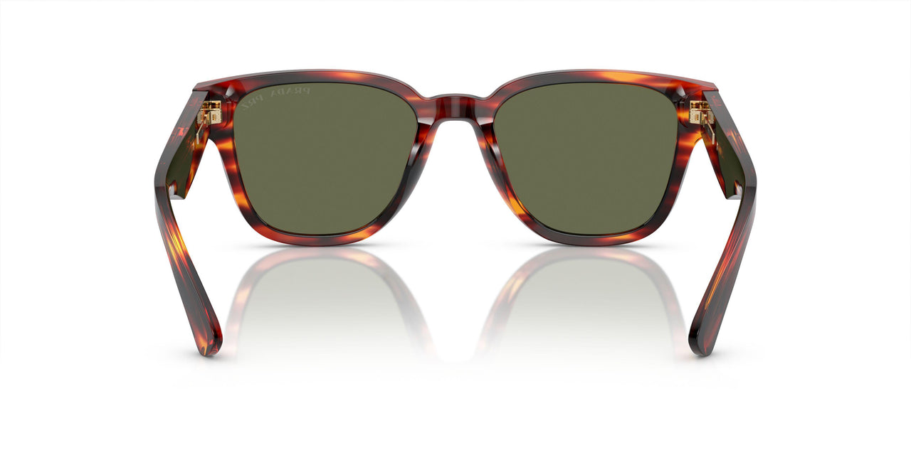 13O03R - Red - Green Polarized