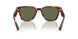 13O03R - Red - Green Polarized