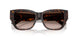 500213 - Tortoise - Gradient Brown