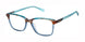 Superdry SDOW039T Eyeglasses