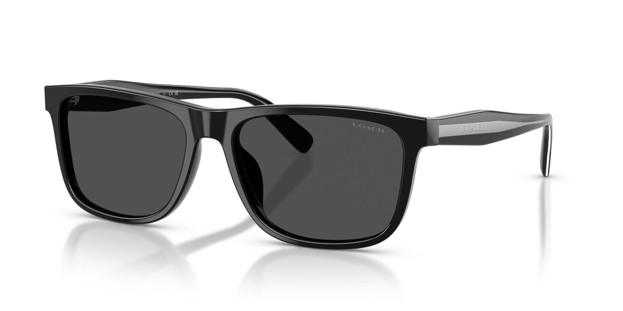 Coach Cdp55 8454U Sunglasses